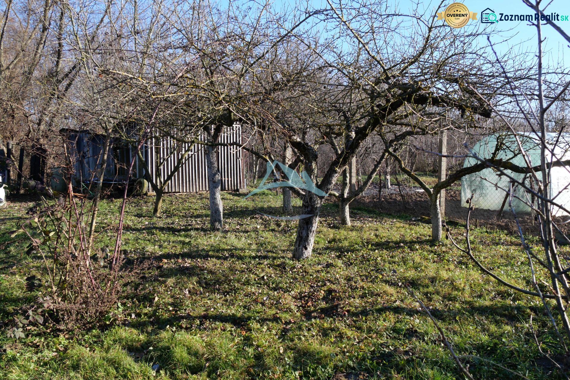 Fotografia 7