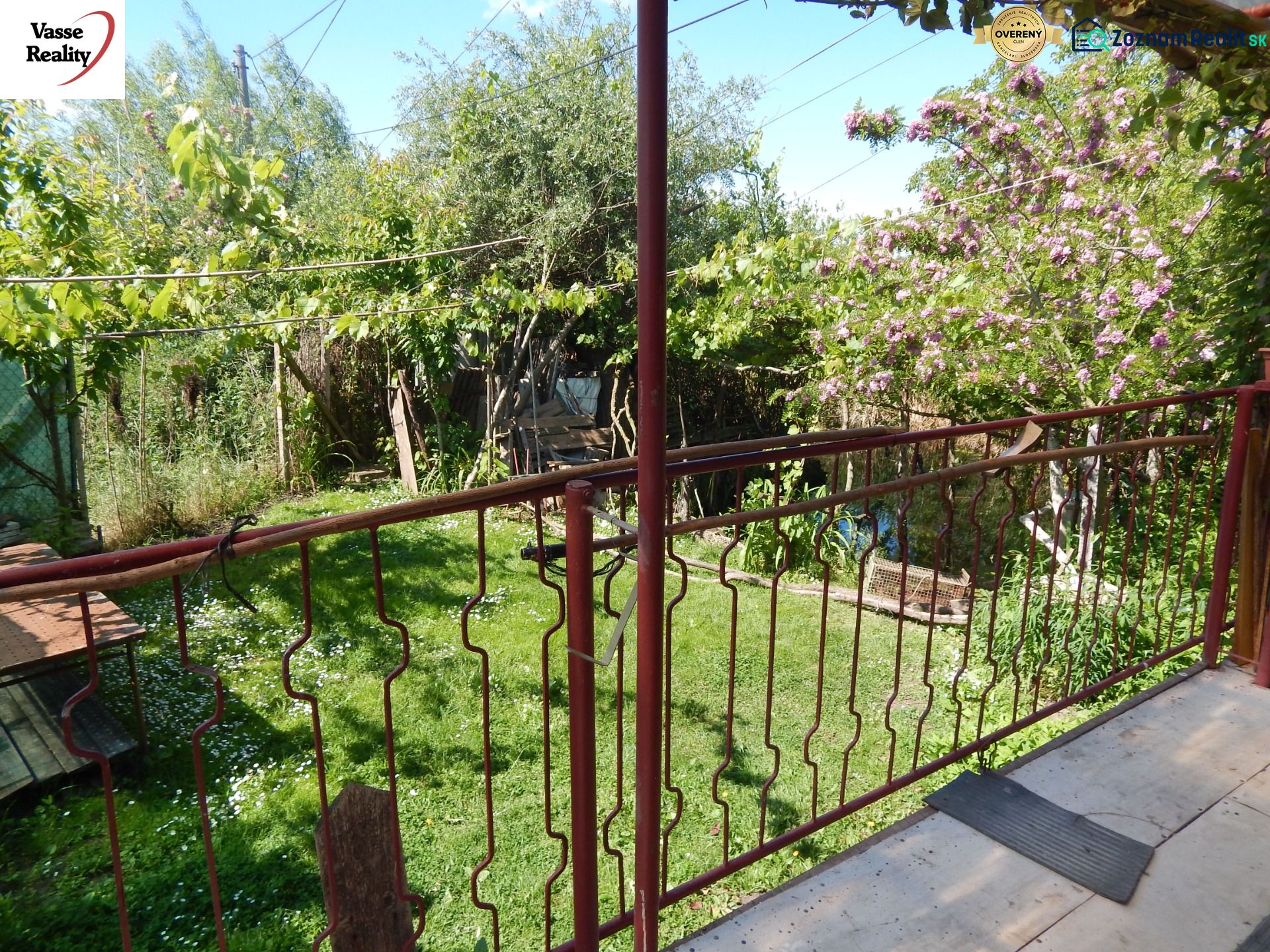 Fotografia 5