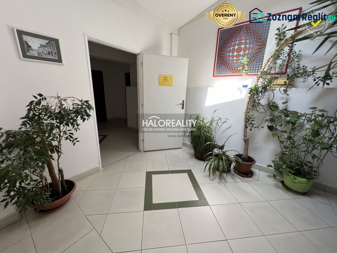Fotografia 9