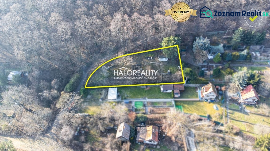 Fotografia 9