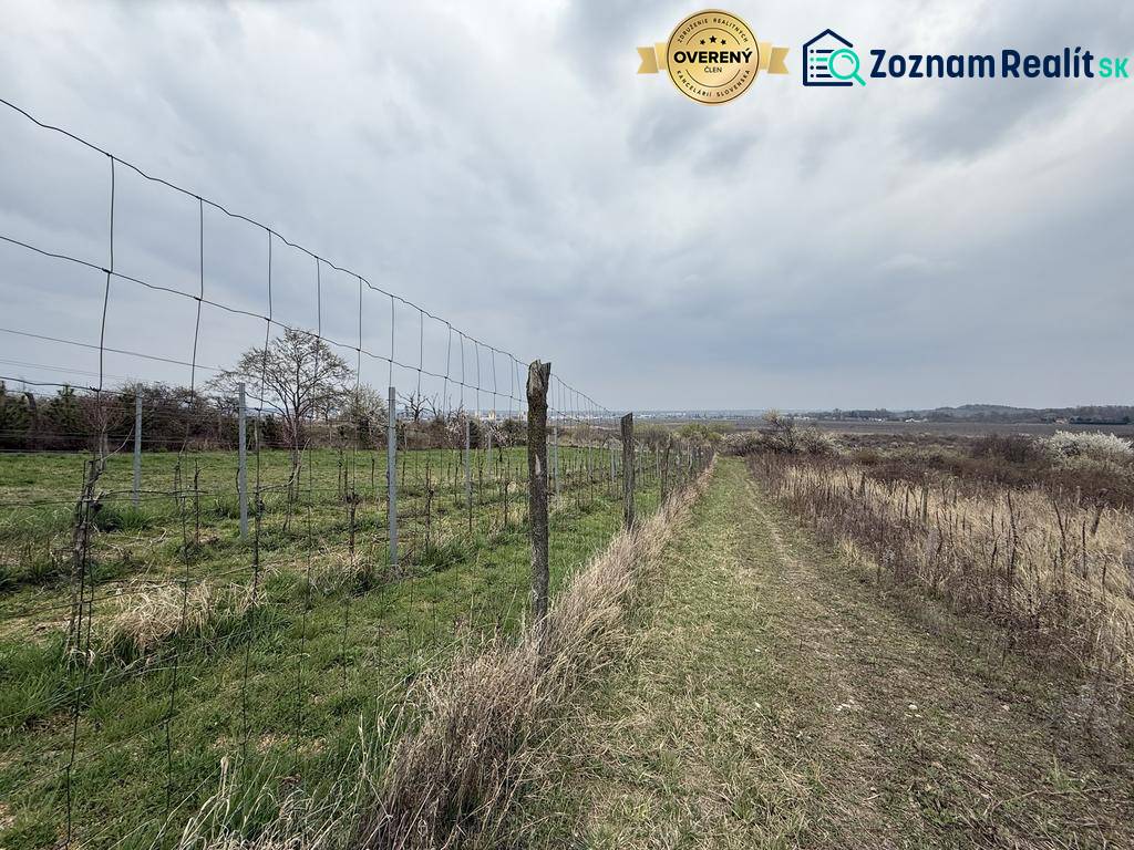 Oplotený obrábaný vinohrad so studňou a kontajnerom. - Vinice na Rekreačných pozemkoch vo Fajgalskej ceste v Pezinku pod oblačnou oblohou.