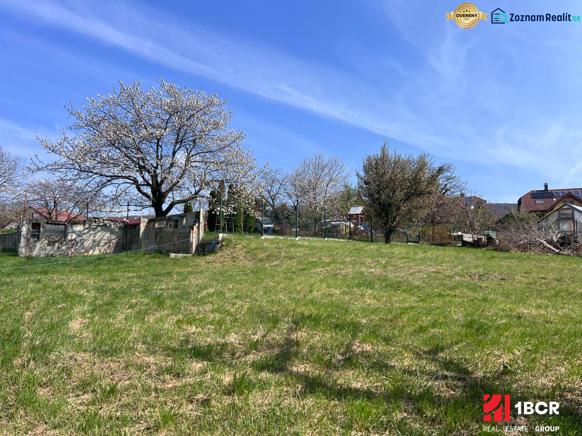 STAVEBNÝ POZEMOK S DUŠOU LEN PÁR MINÚT OD BRATISLAVY V OBCI MARIANKA - Rozkvitnuté stromy a trávnatá plocha na pozemku pre bývanie v Marianke na Budovateľskej ulici.