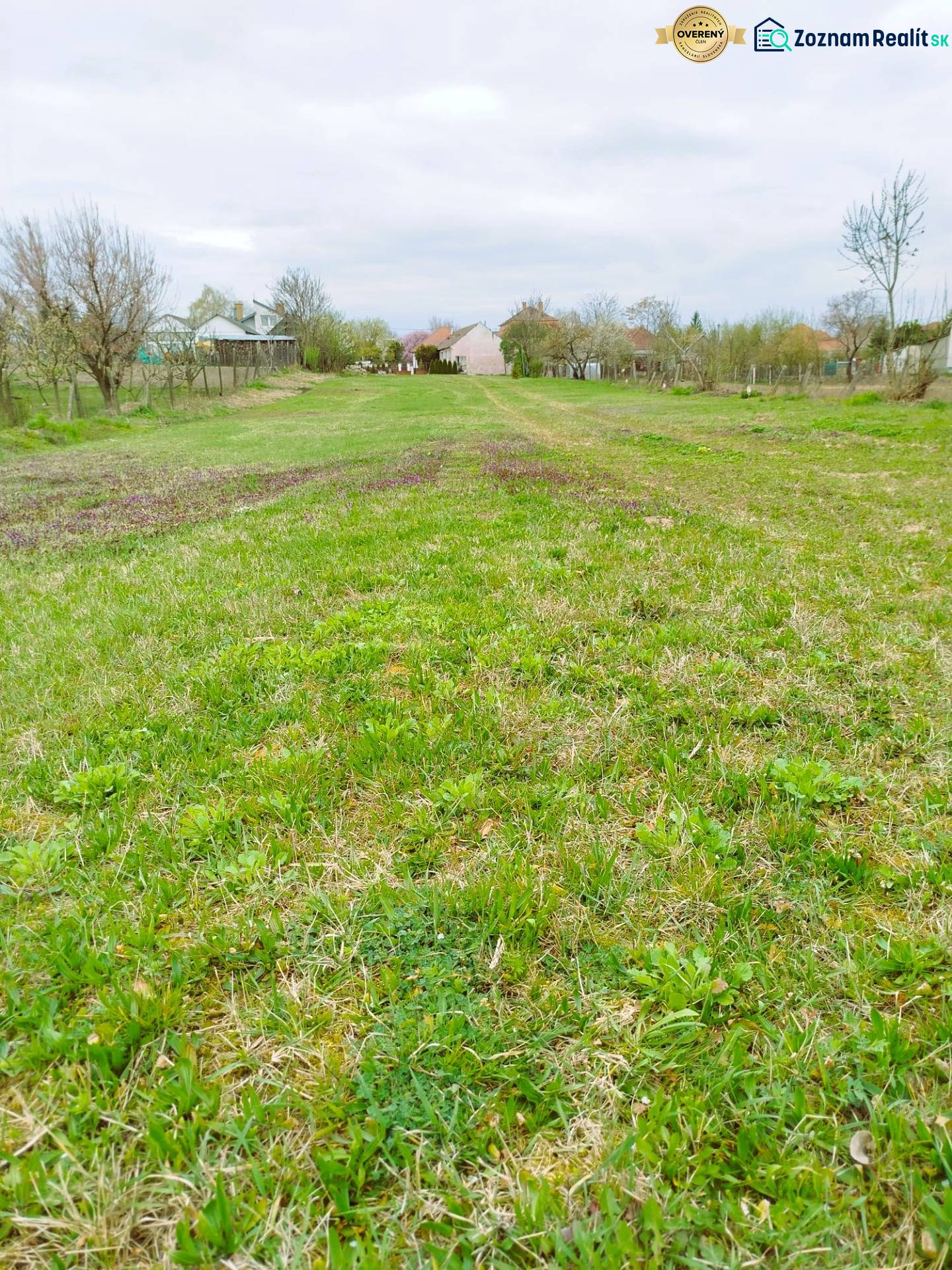 Veľký stavebný pozemok len 15 km od Nitry v obci Horná Kráľová - Zelený pozemok na bývanie v Hornej Kráľovej, s viditeľnými stromami a domami v diaľke.