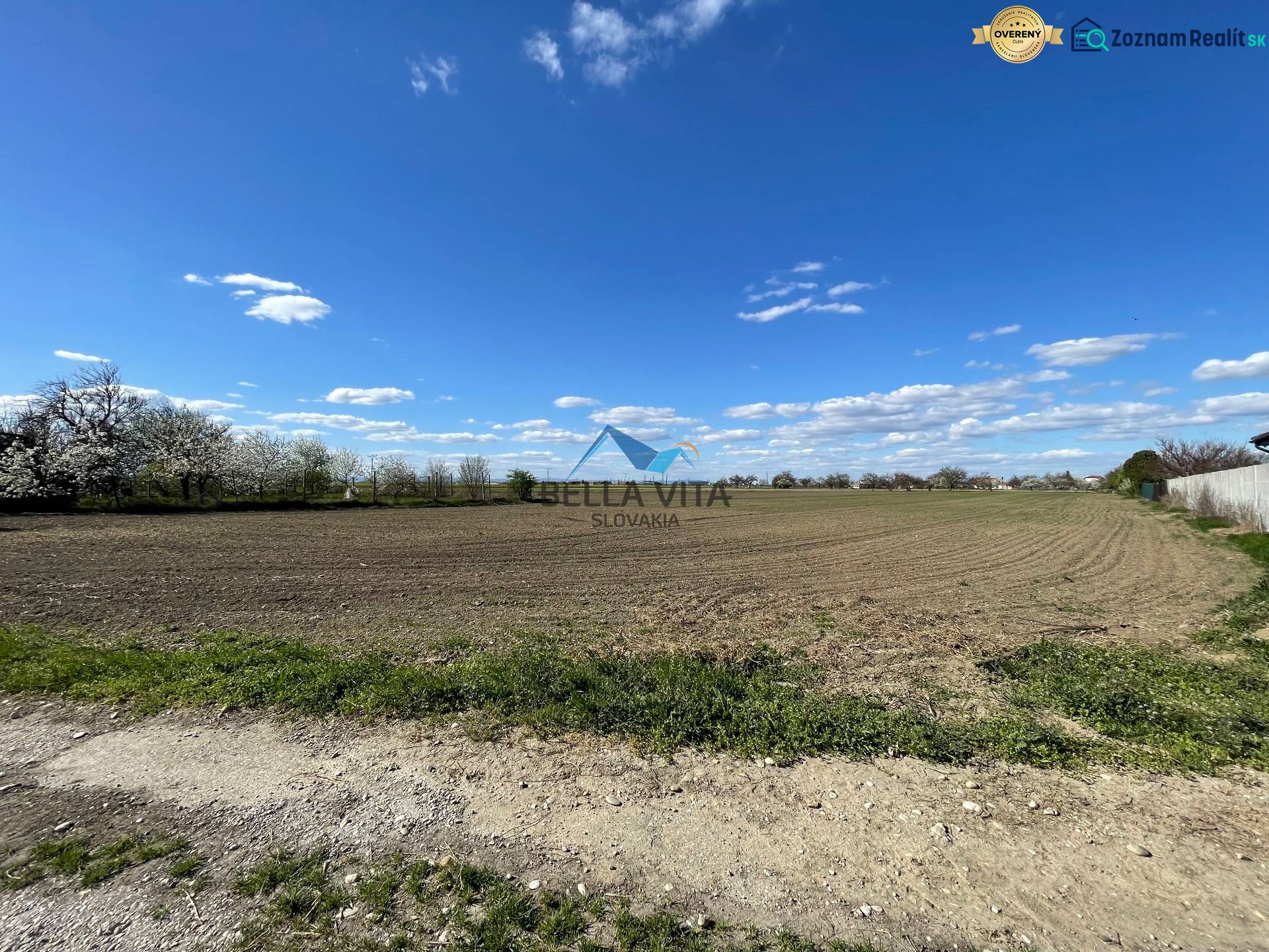 Zaujímavý pozemok v obci Košúty (záhrada) - Rozľahlé pole obklopené kvitnúcimi stromami na Košútskej ulici v Košútoch záhrady.