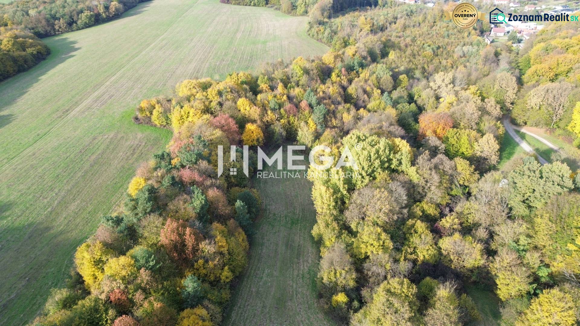 Predaj investičného pozemku v obci Jasenov - Letecký pohľad na farebný les a pole počas jesene v meste Jasenov.