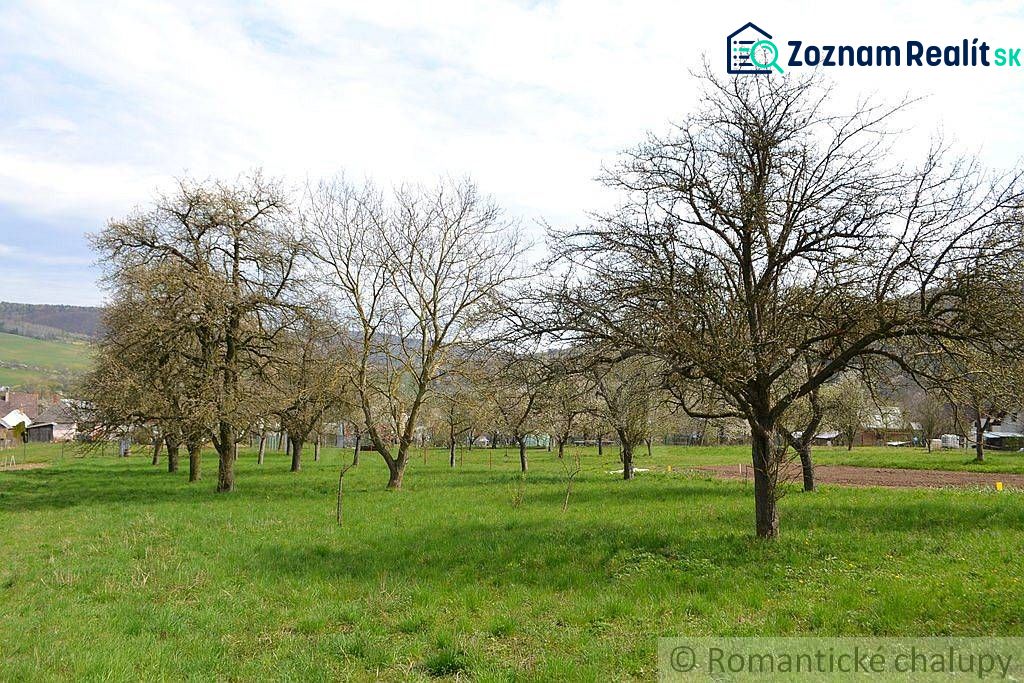 Fotografia 8
