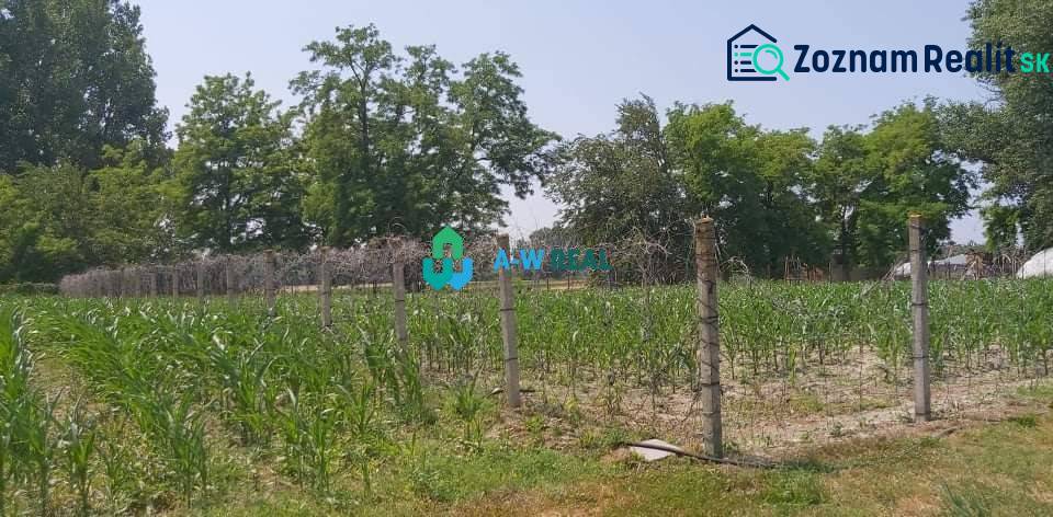 Krásny veľký pozemok v tichej časti obce Ňárad - Na obrázku sú pozemky - bývanie so zelenou vegetáciou a oplotením na ulici neuvedené.