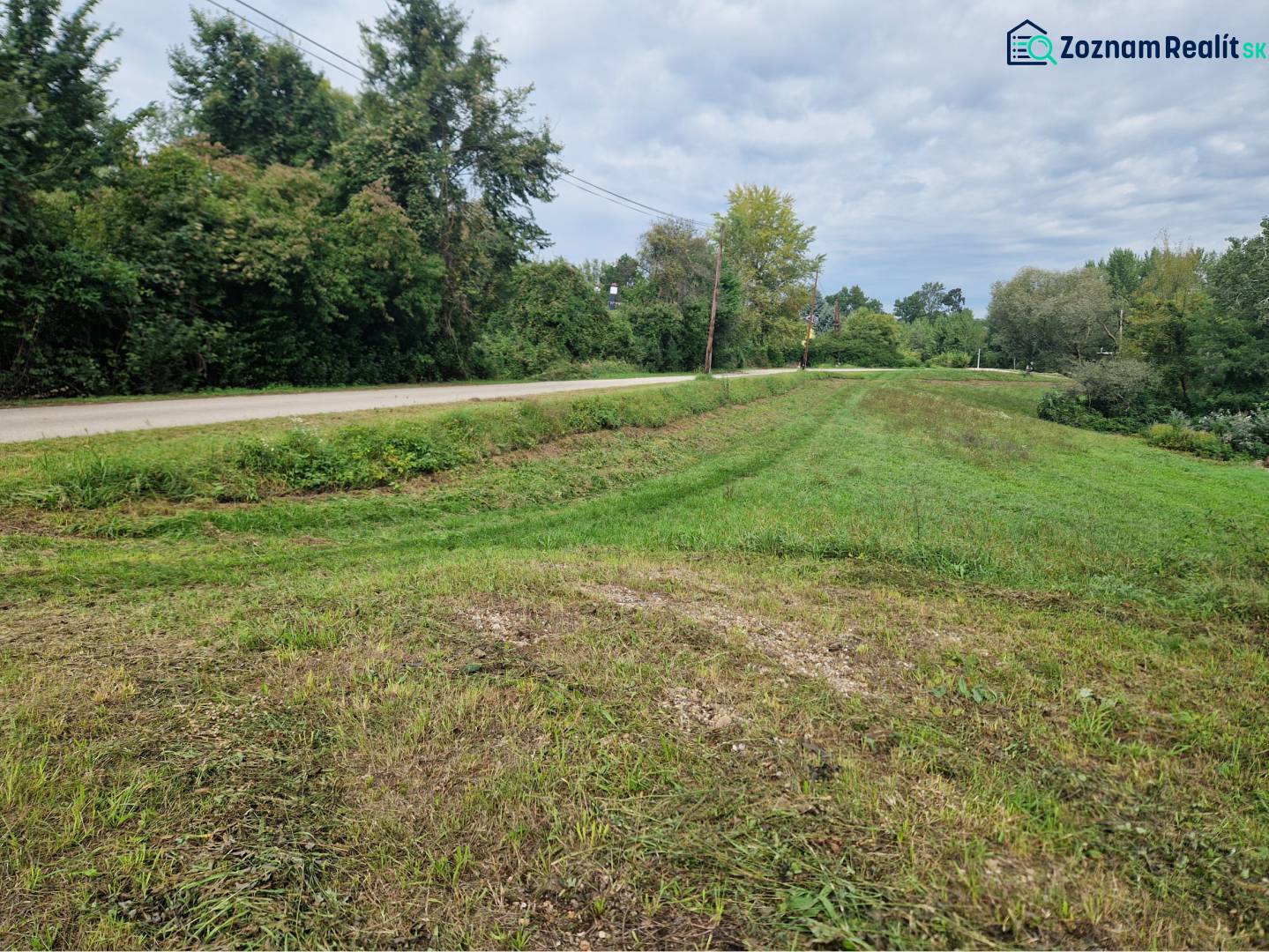 Na predaj rekreačný pozemok pri Dunaji - Gabčíkovo - Prírodné prostredie Gabčíkova, trávnaté pozemky - bývanie, lemované cestou a stromami.