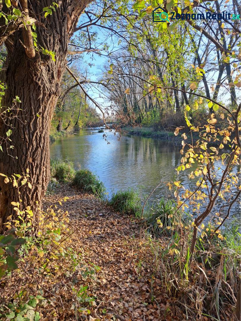 ☎️ 0918197701-Predám stavebný pozemok v obci Kráľov Brod - Znížená cen - Rieka obklopená stromami poskytuje krásny pohľad na pozemky - bývanie v Kráľovom Brode.