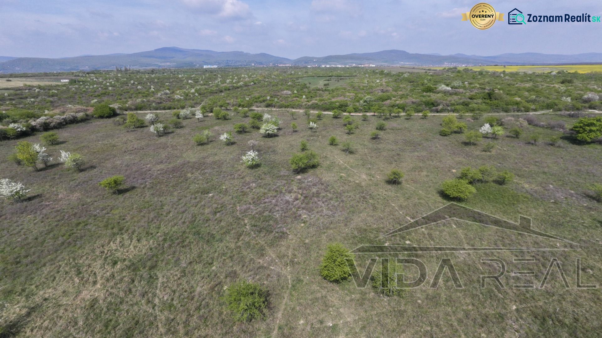 Pozemok v Modre s výmerou až 58.977 m2 - Rozľahlá krajina na pozemkoch pre bývanie v Modre, Dolnej ulici, s nízkou vegetáciou.