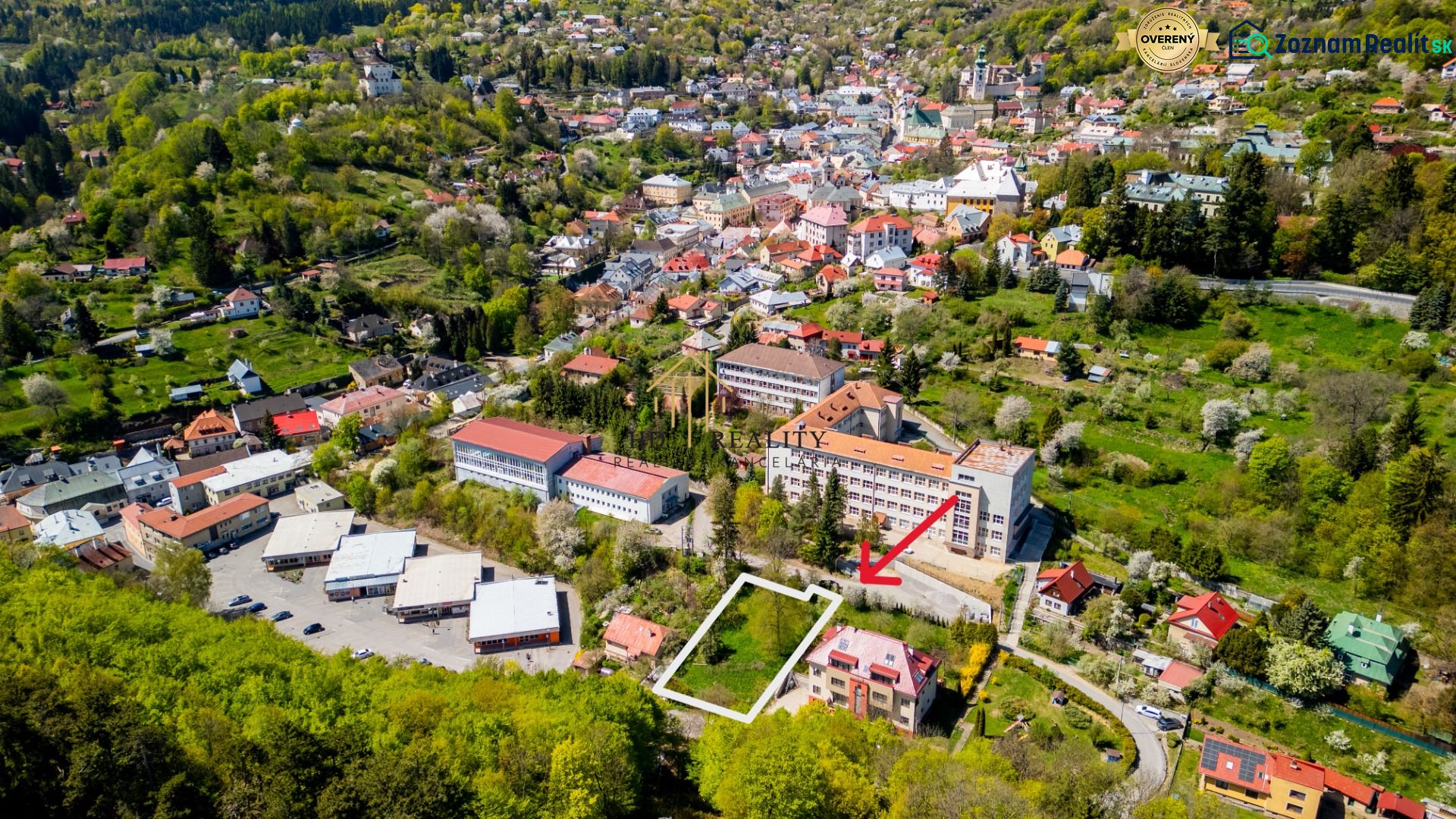 Fotografia 3