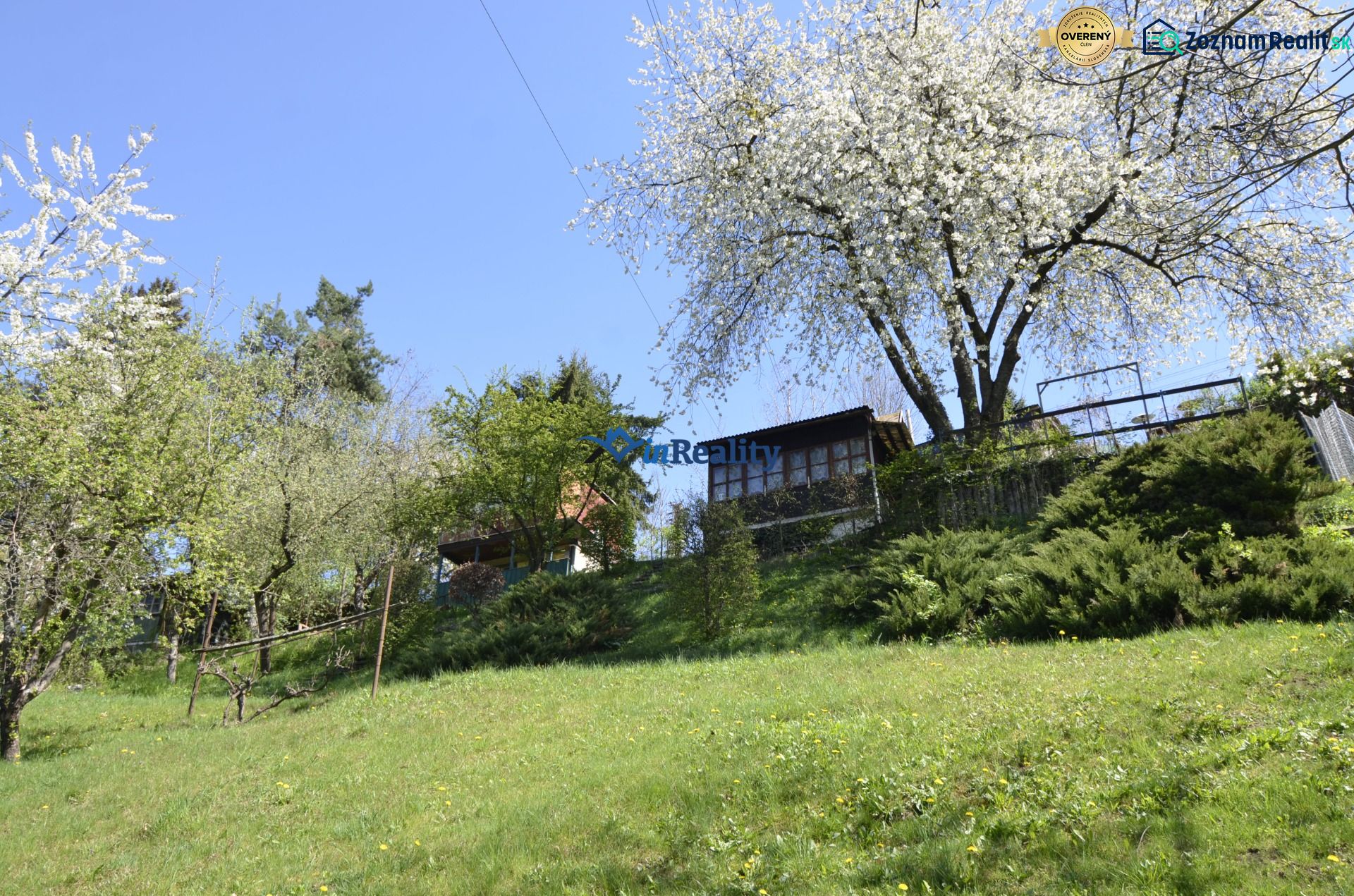 Fotografia 5