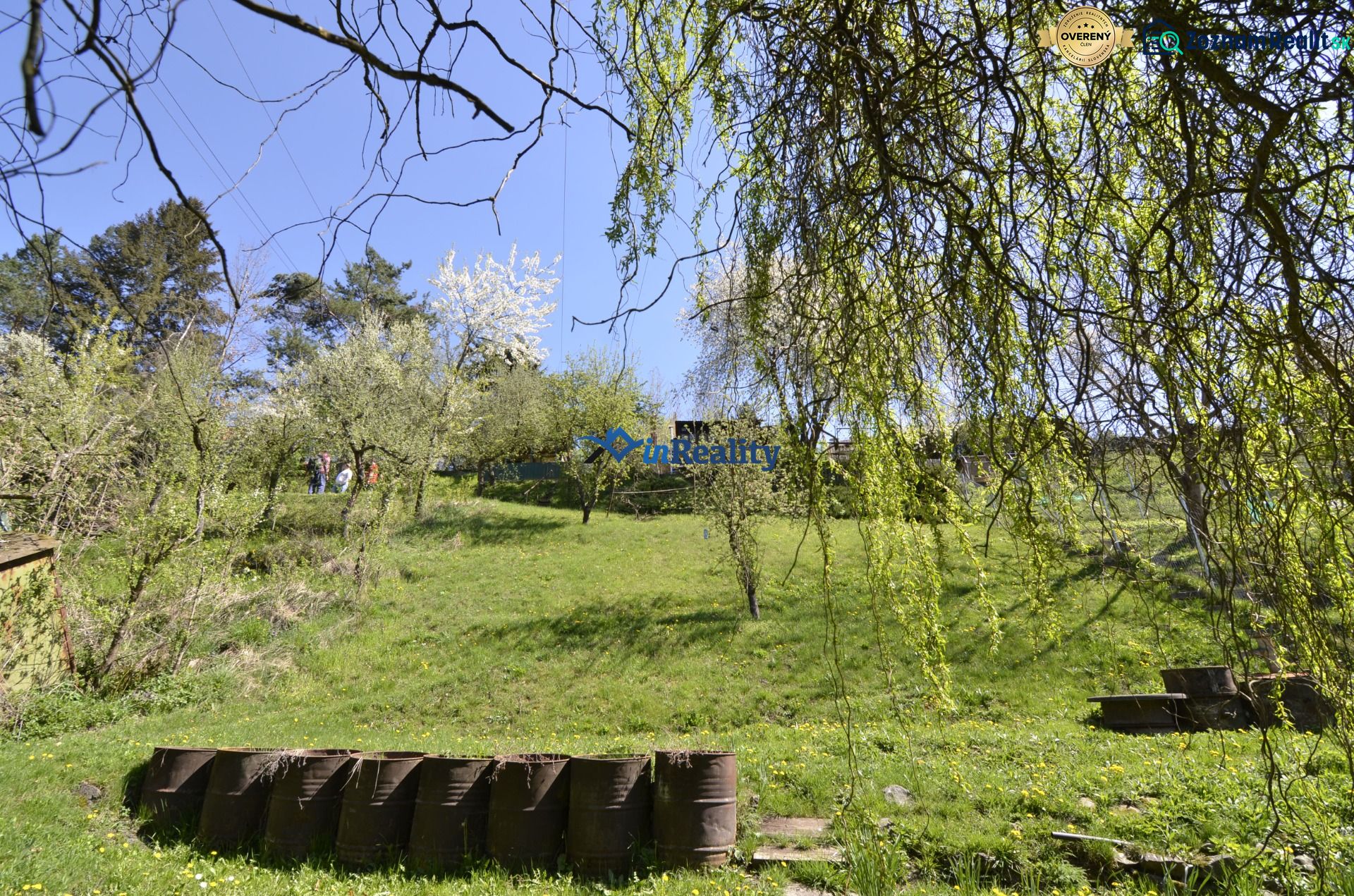 Fotografia 6