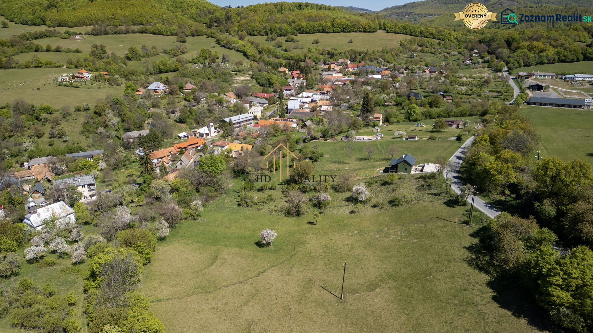 Fotografia 7