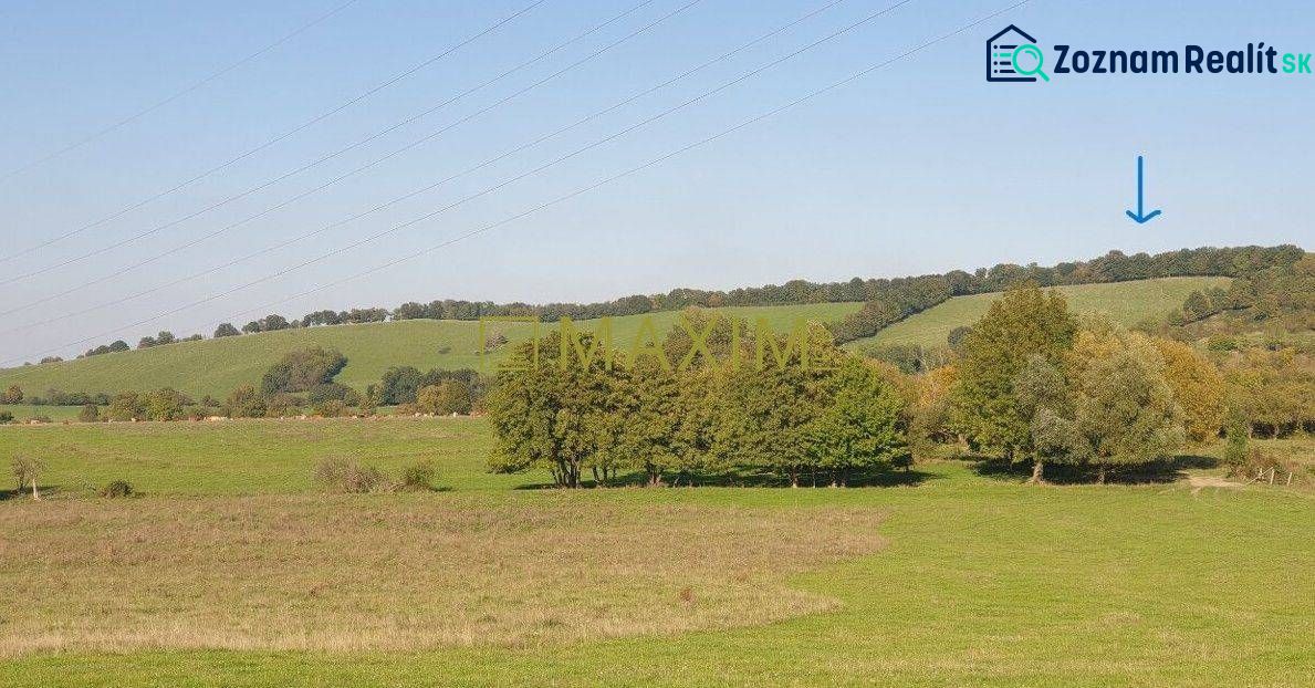 Slnečný takmer hektárový pozemok (9410m²) v k.ú. Kuchyňa s nádherným p - Rekreačné pozemky v Kuchyni, na ulici Kuchyňa, s trávnatými plochami a stromami.