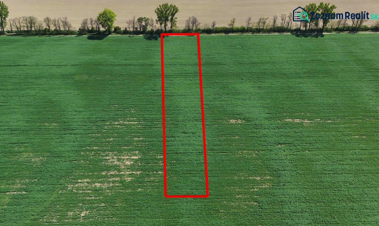 Trhovište – 5.894 m2 POZEMOK na mobilný dom so stavebným potenciálom  - Zeleň rekreačných pozemkov v Trhovišti, ohraničená červeným obdĺžnikom, siahajúca k lesnému porastu.