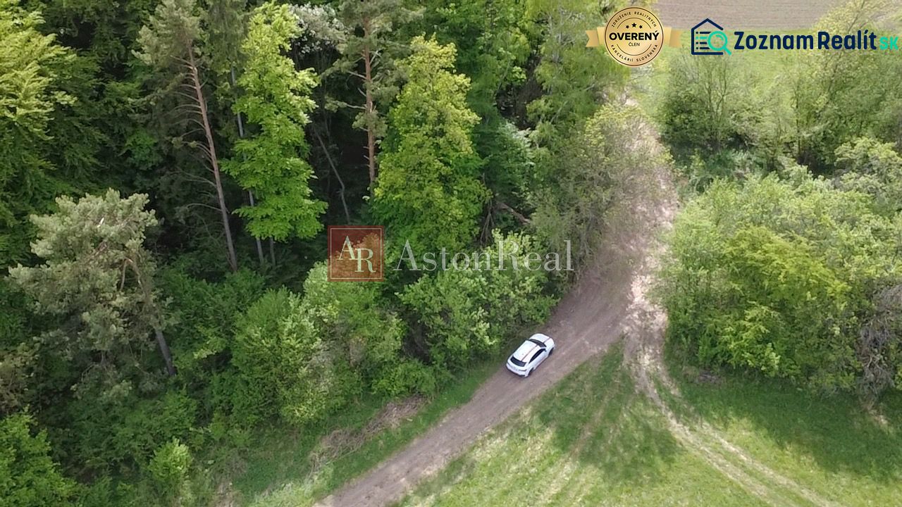 Pozemok vhodný na chov včiel Streženice- 874 m2 - Lúka s vozidlom pred lesom na rekreačných pozemkoch v Streženiciach, Streženice.