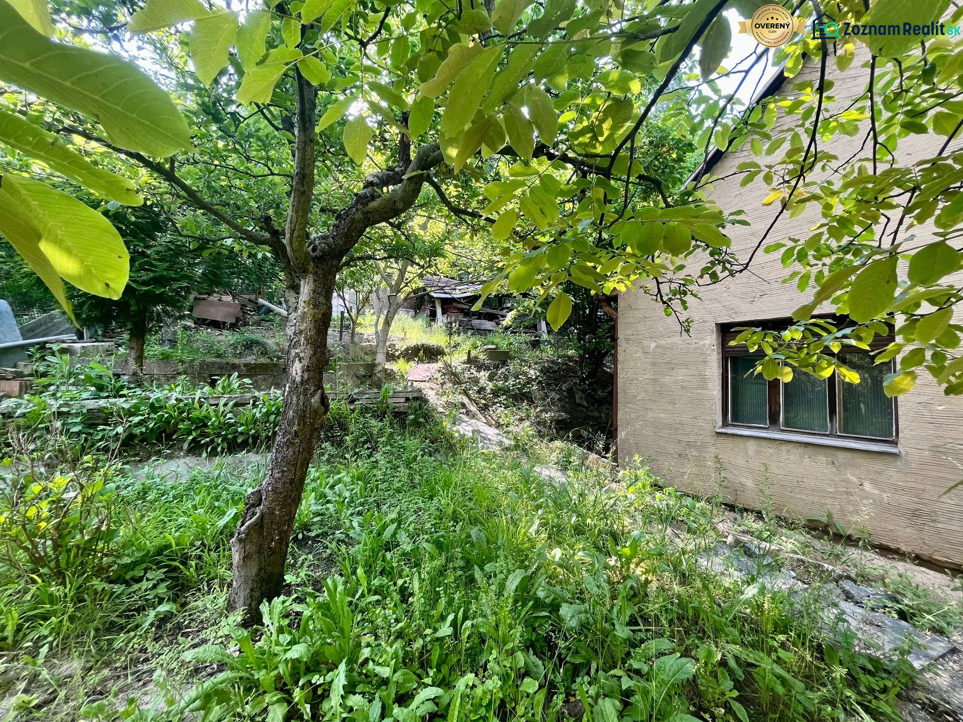 PREDAJ -Lukratívny pozemok so starším domom pri Horskom parku - Záhrada rodinného domu na Búdkovej ulici v Bratislave - Starom Meste s okolitou zeleňou.