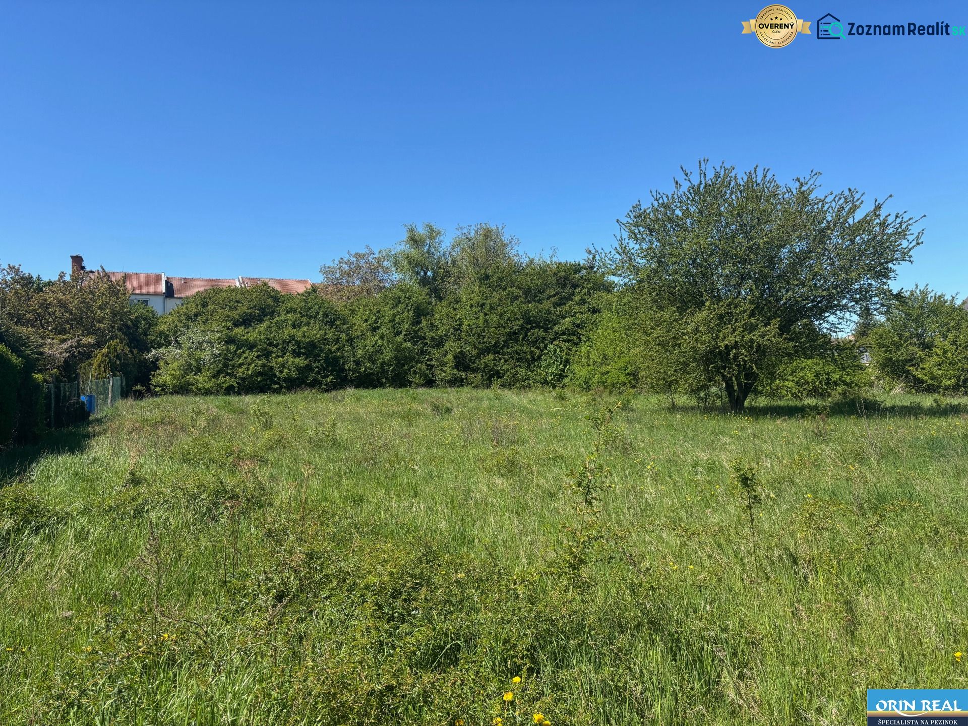 LUKRATÍVNY SP V BUDMERICIACH NA VÝSTAVBU RD ALEBO  BYT.DOMOV - 4459 m2 - Pozemky na bývanie na ulici J.Rašu, Budmerice, s trávnatou plochou a stromami.