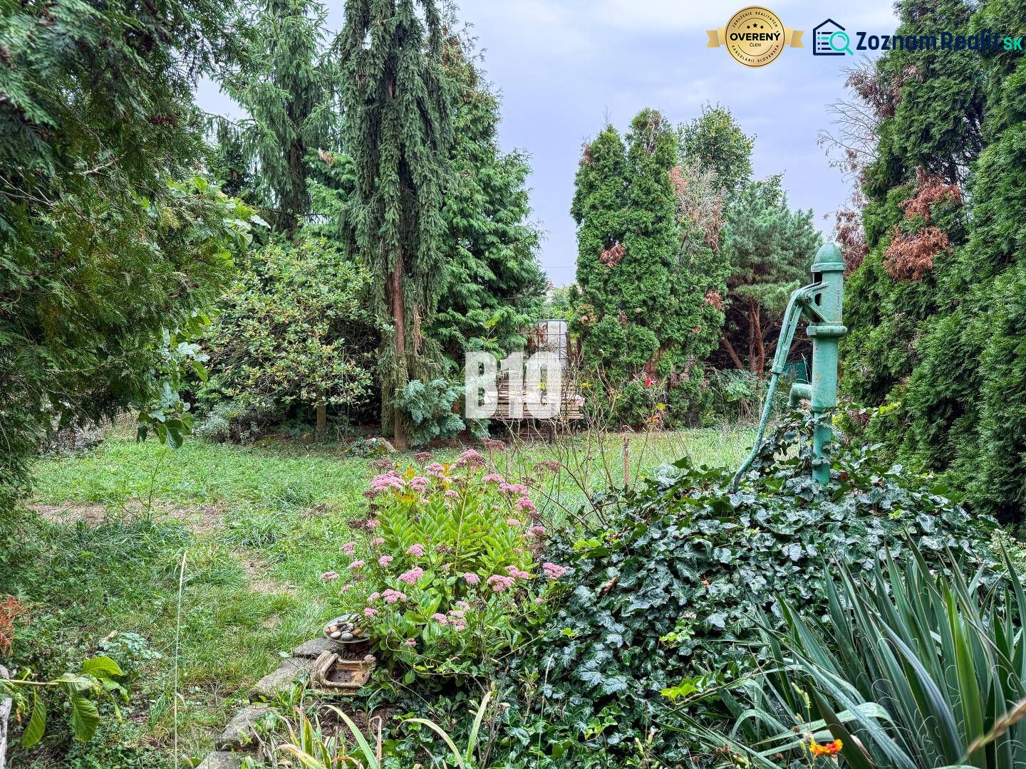 Priestranný rodinný dom s garážou na veľkom pozemku v obci Vlkas - Záhrada rodinného domu vo Vlkase so zeleňou a starou pumpou obklopenou rastlinami.