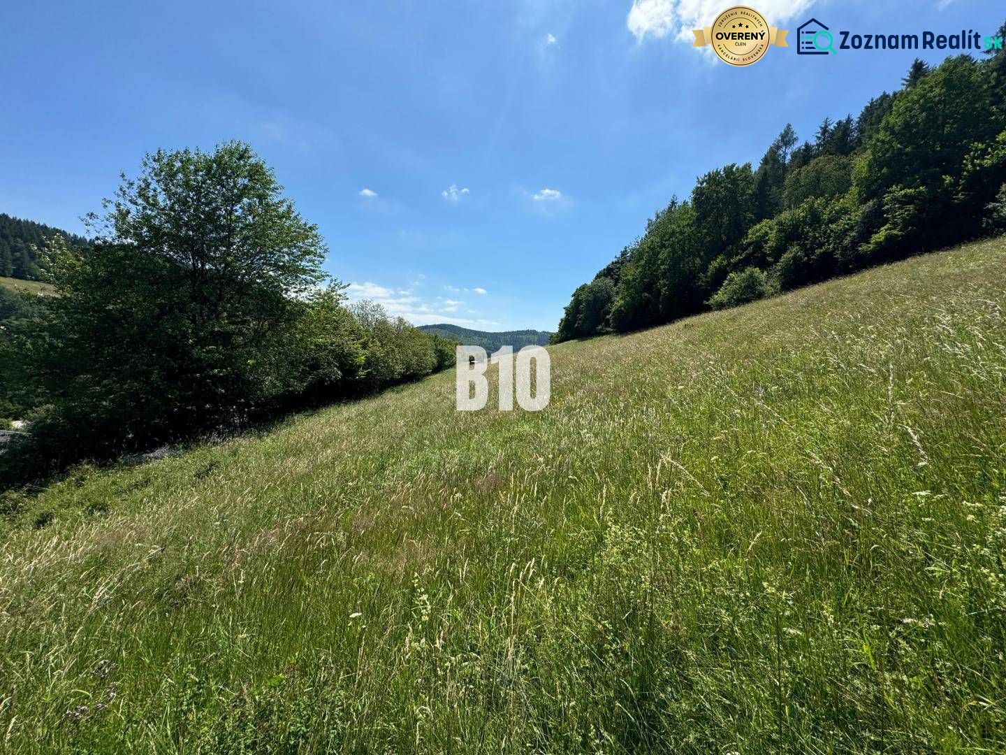 Slnečný stavebný pozemok Dolný Vadičov 7321m2 - Široká lúka s výhľadom, obklopená stromami v Dolnom Vadičove, ideálna pre pozemky na bývanie.