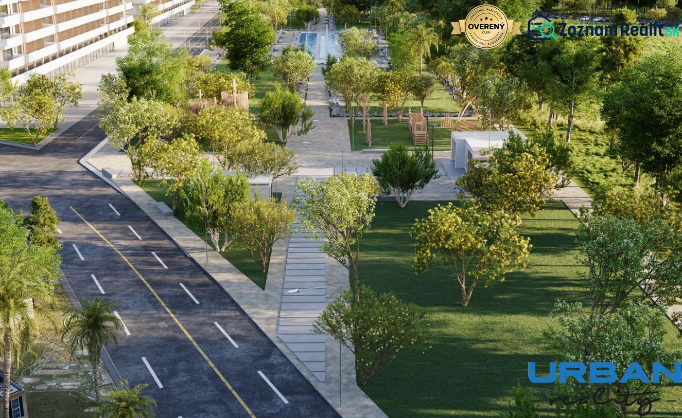 Fotografia 11