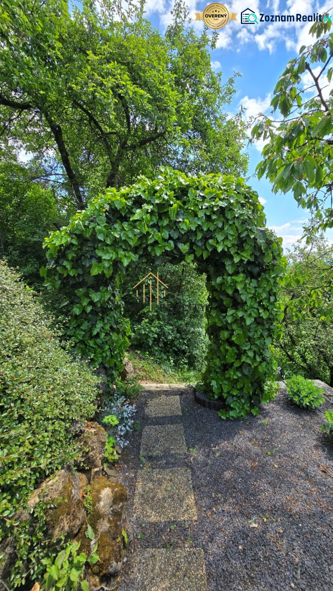 Fotografia 24