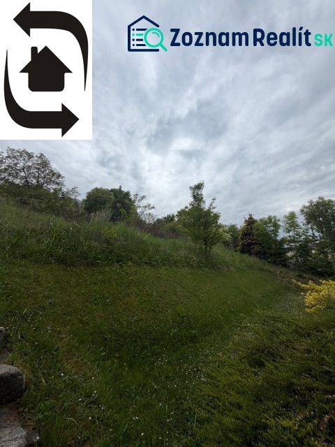 Fotografia 3