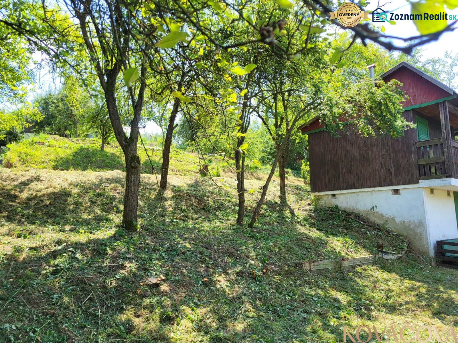 Fotografia 4