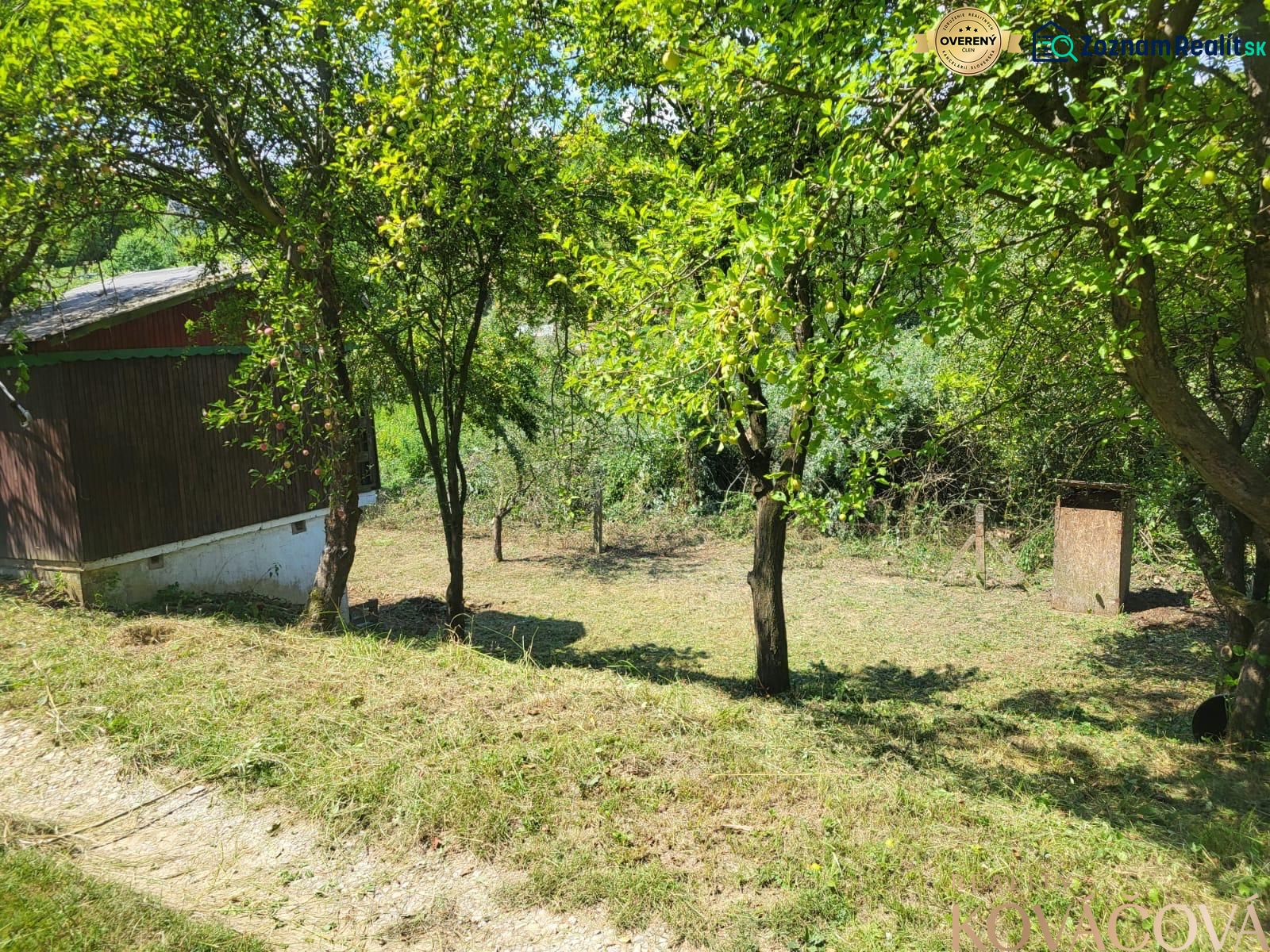 Fotografia 7