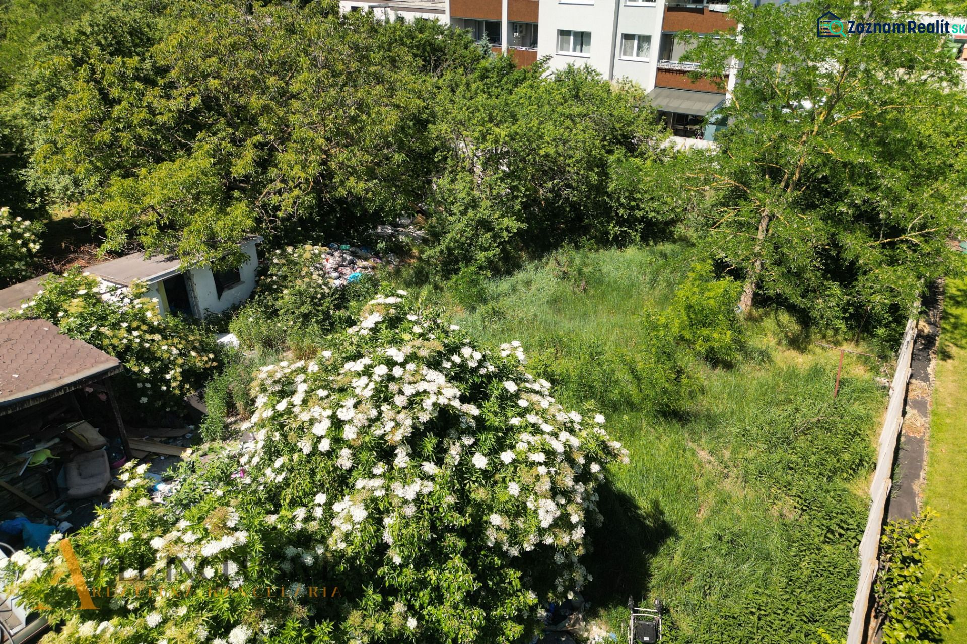 Fotografia 7