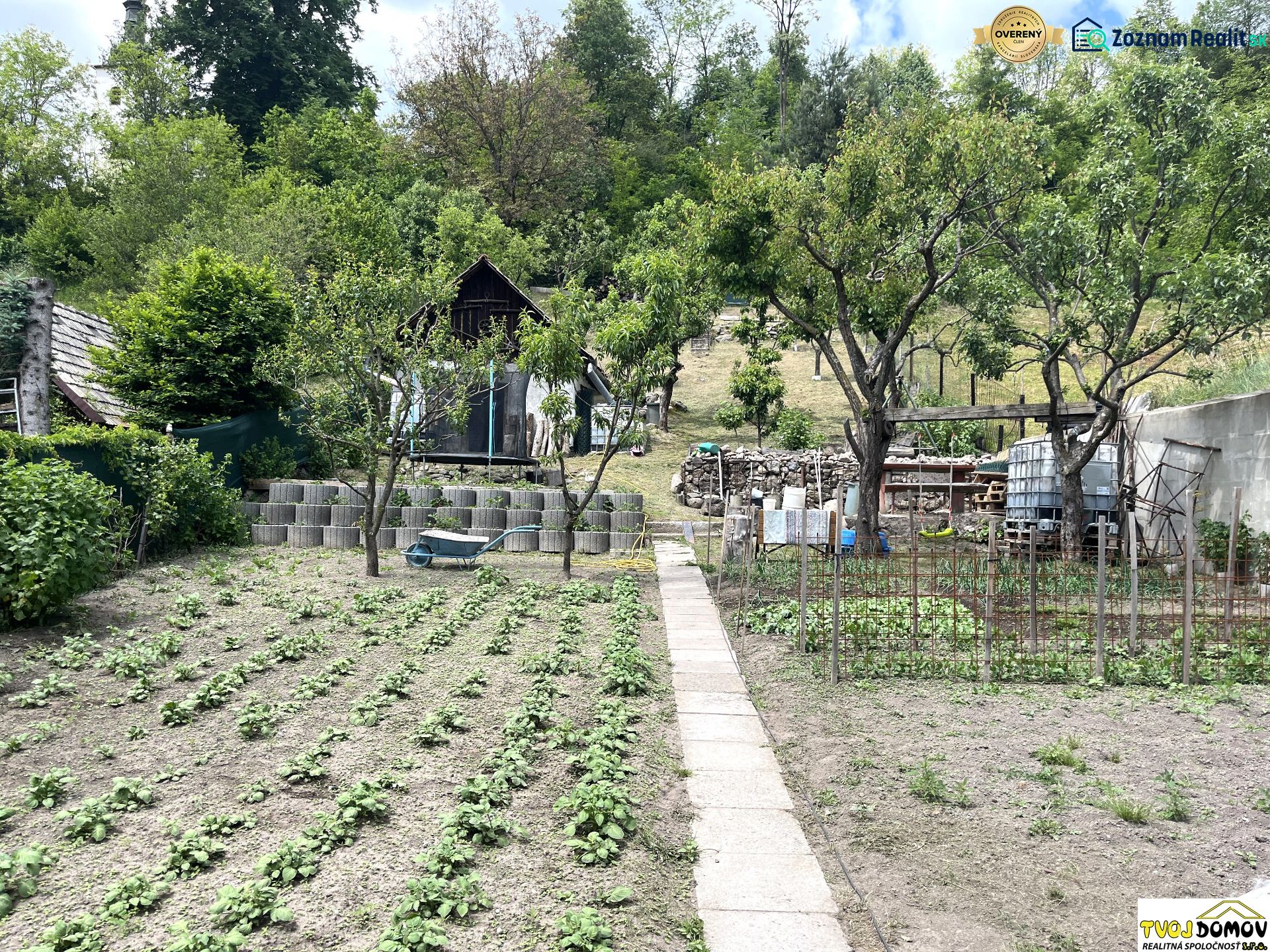Fotografia 3