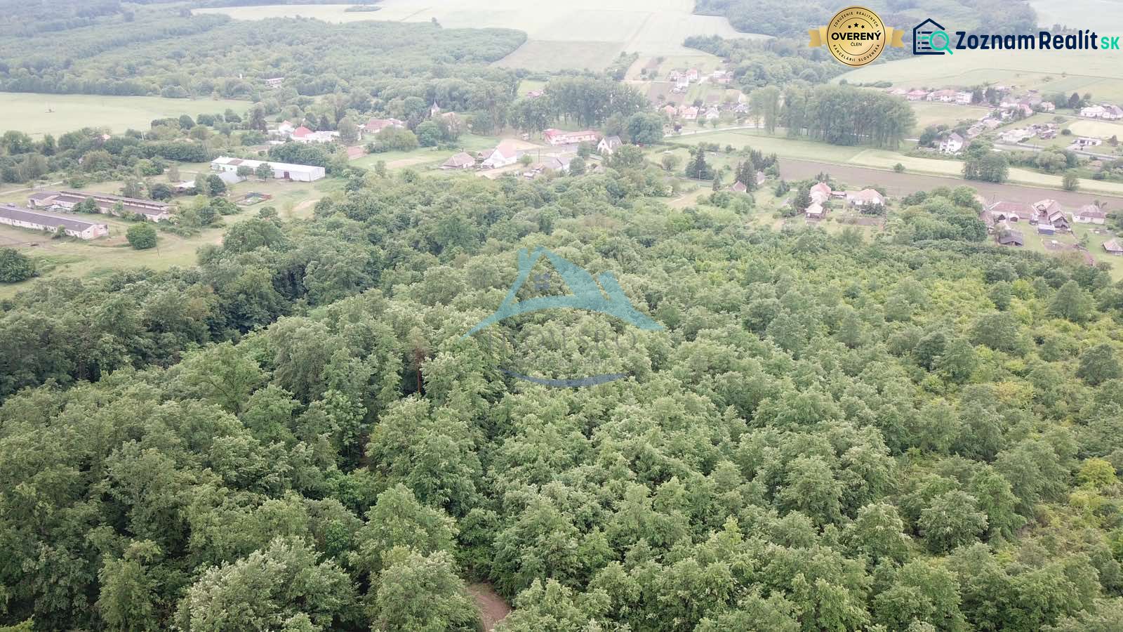 Na predaj 13,8 ha agropôdy v Trebušovciach – 11,5 ha ucelený pozemok  - Letecký pohľad na poľnohospodárske a lesné pozemky pri Trebušovciach obklopené zeleňou a vidieckymi oblasťami.