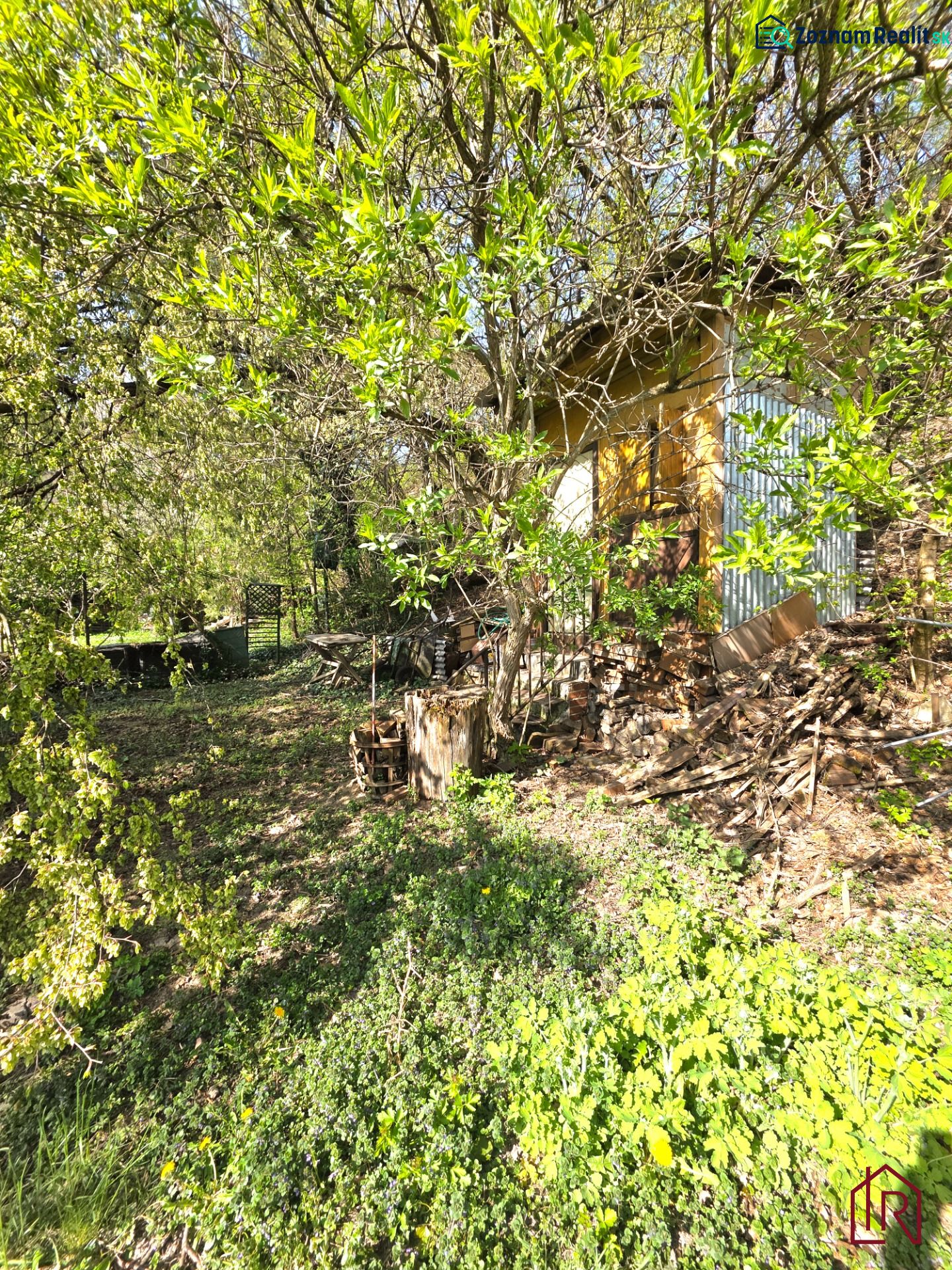 Fotografia 5