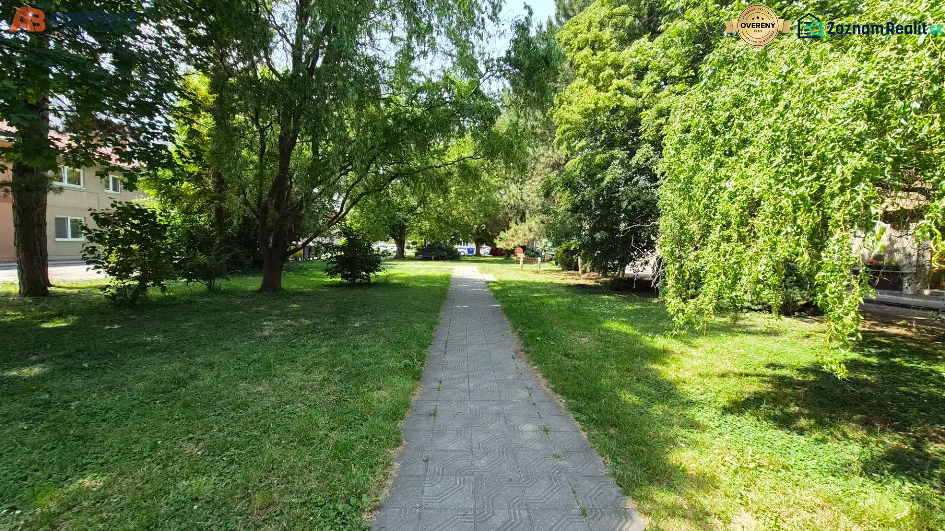 Fotografia 3