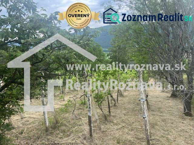 Fotografia 13