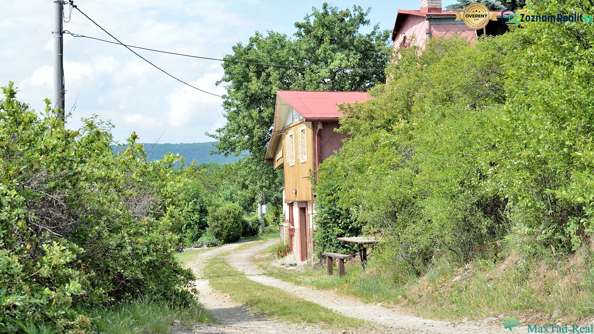 Fotografia 6