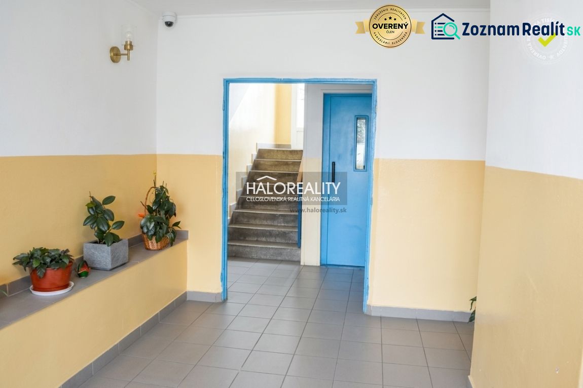 Fotografia 5