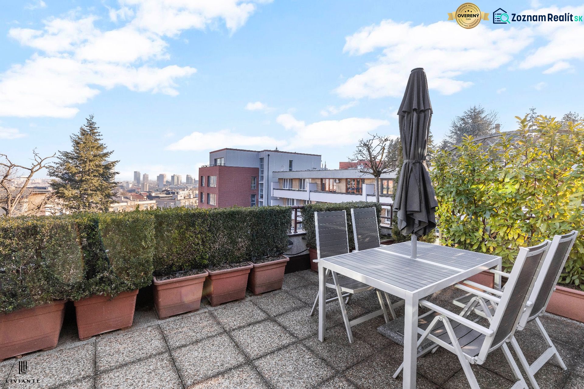 Fotografia 10