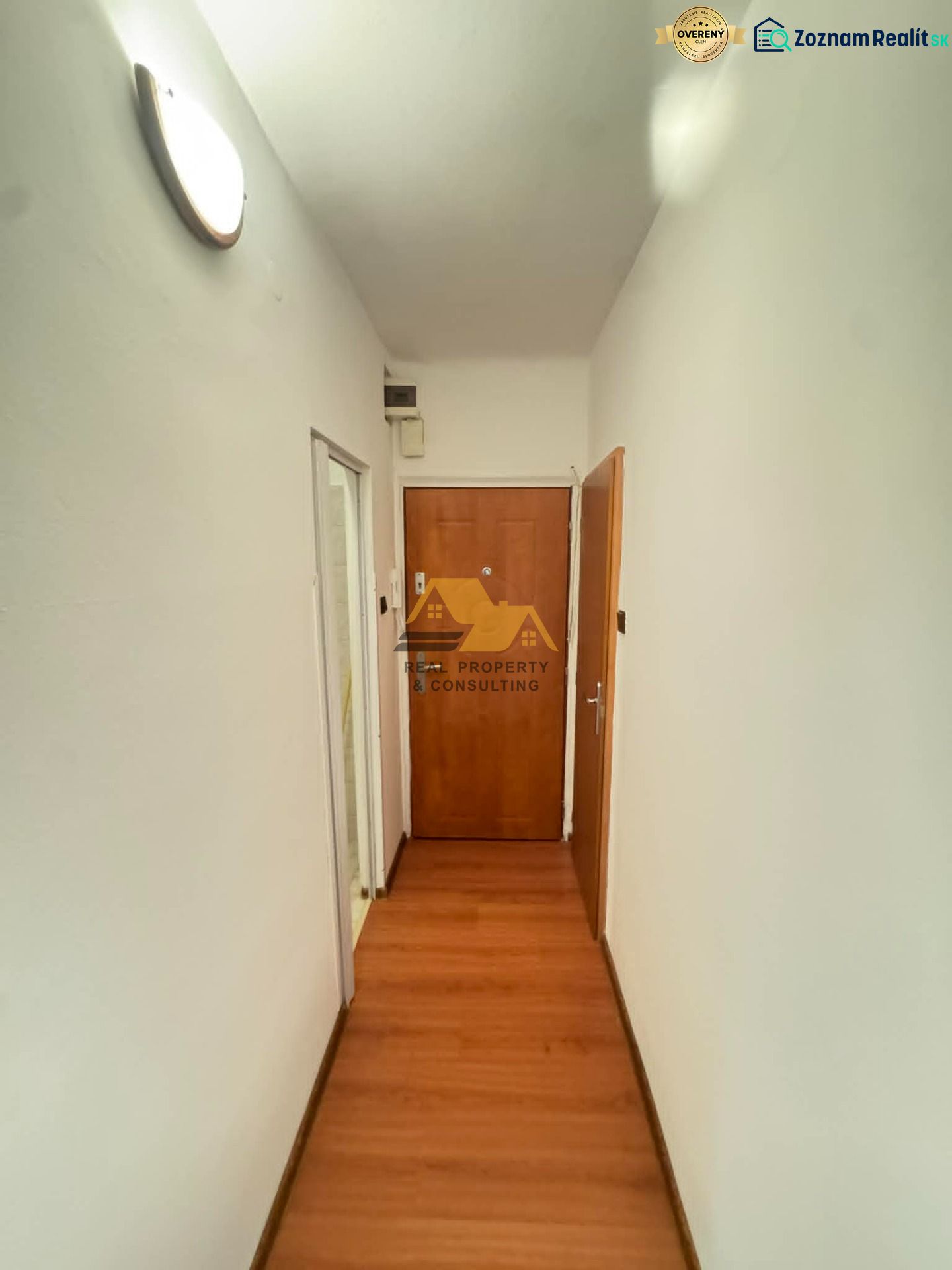 Fotografia 7