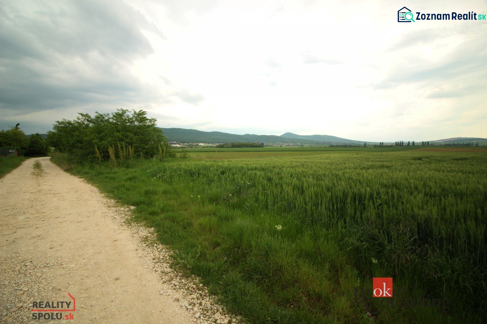 Fotografia 3