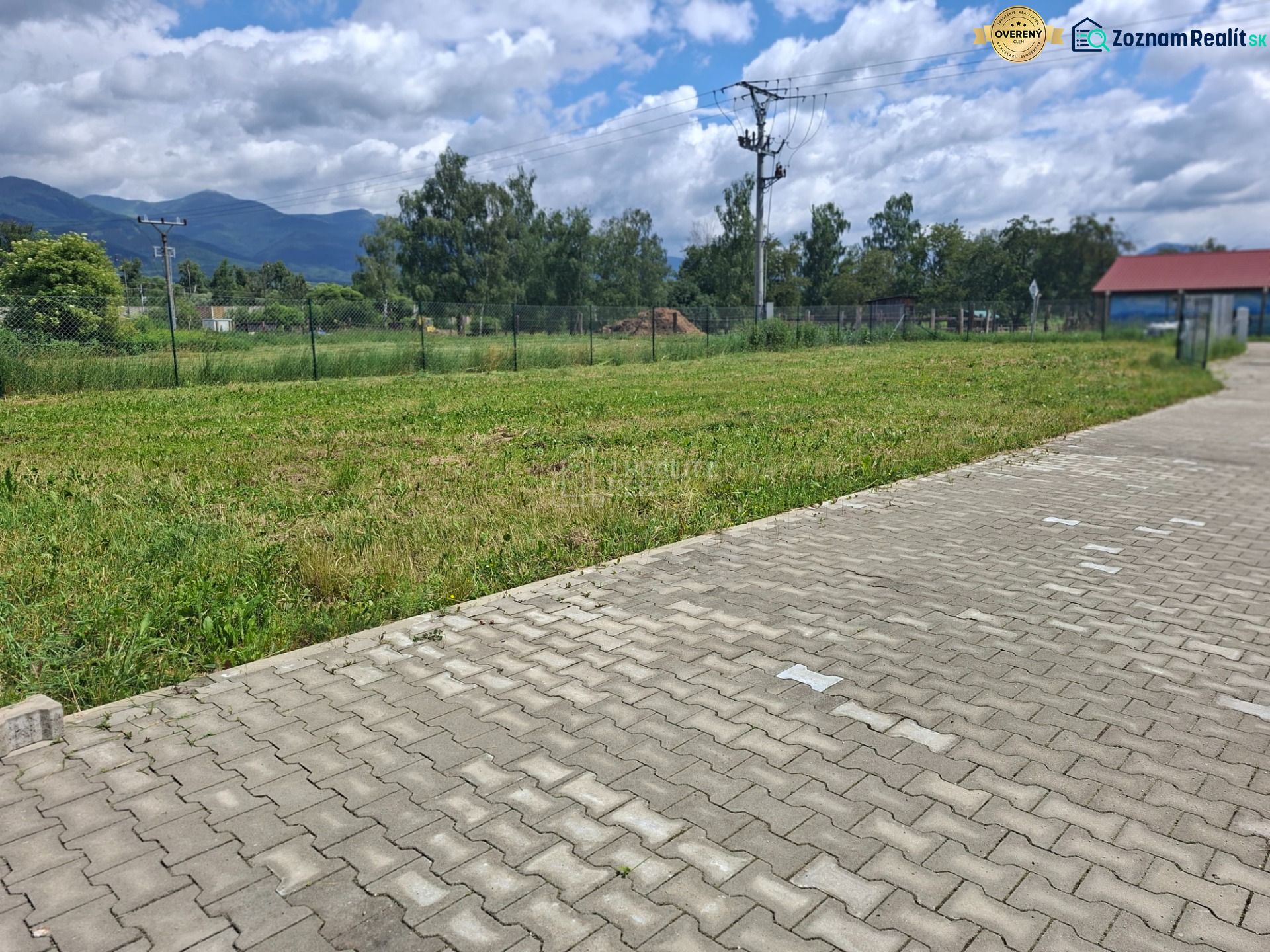 Fotografia 5