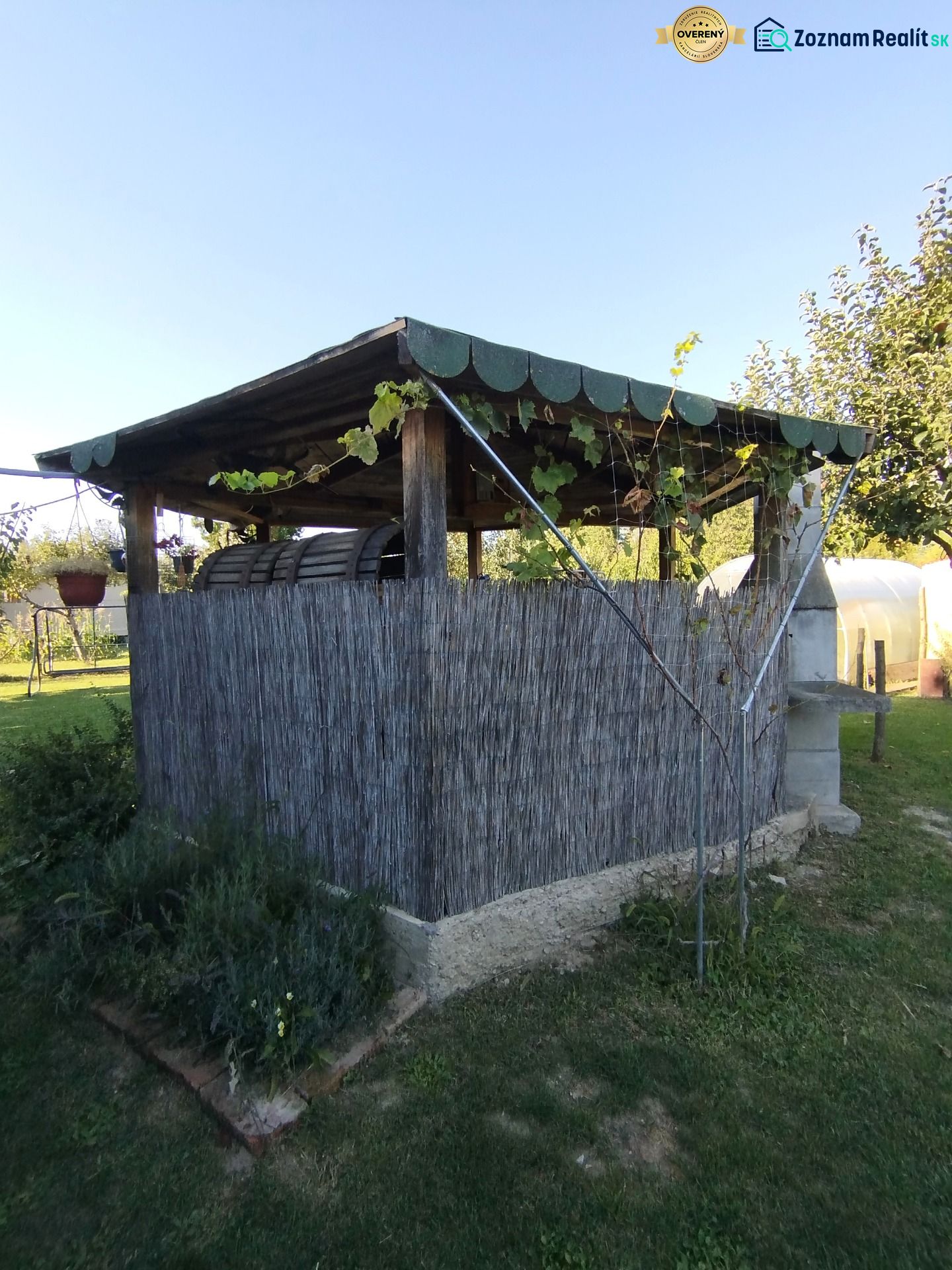 Fotografia 11