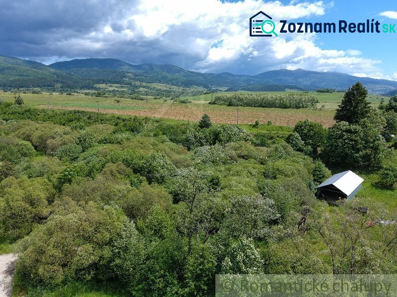 Fotografia 8
