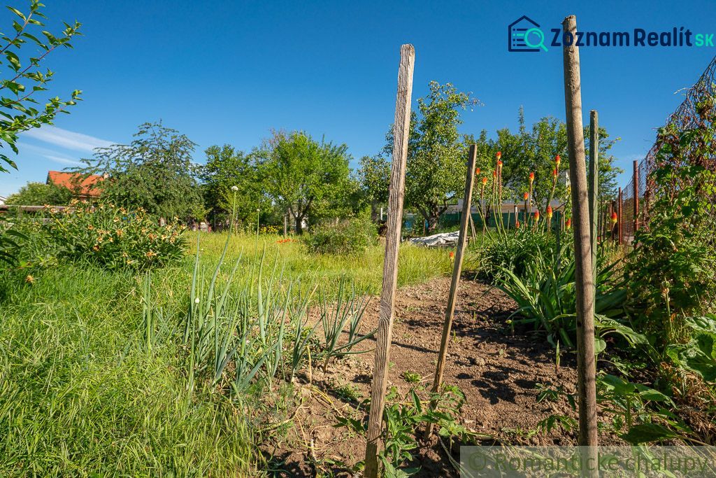 Fotografia 12