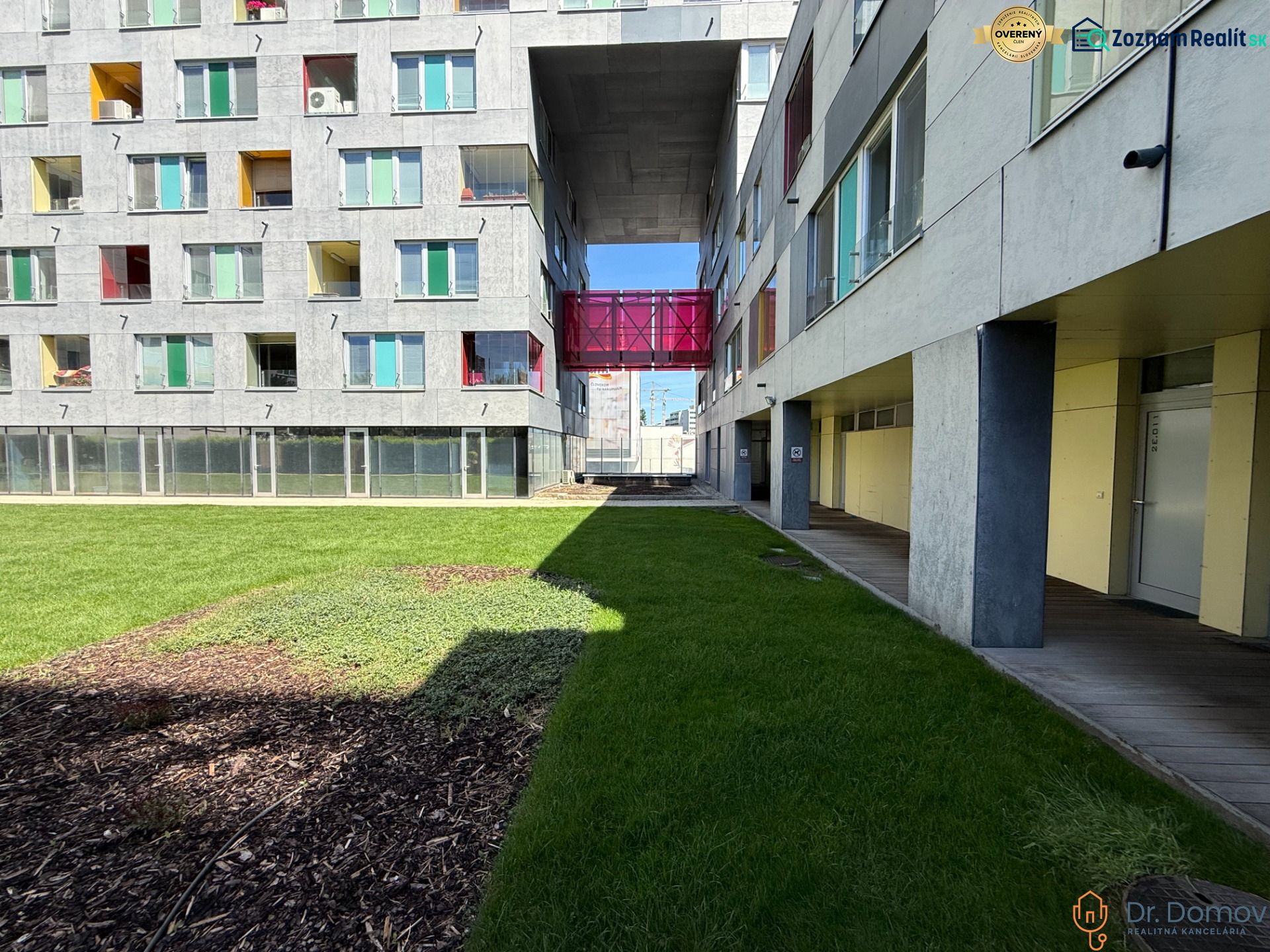Fotografia 19