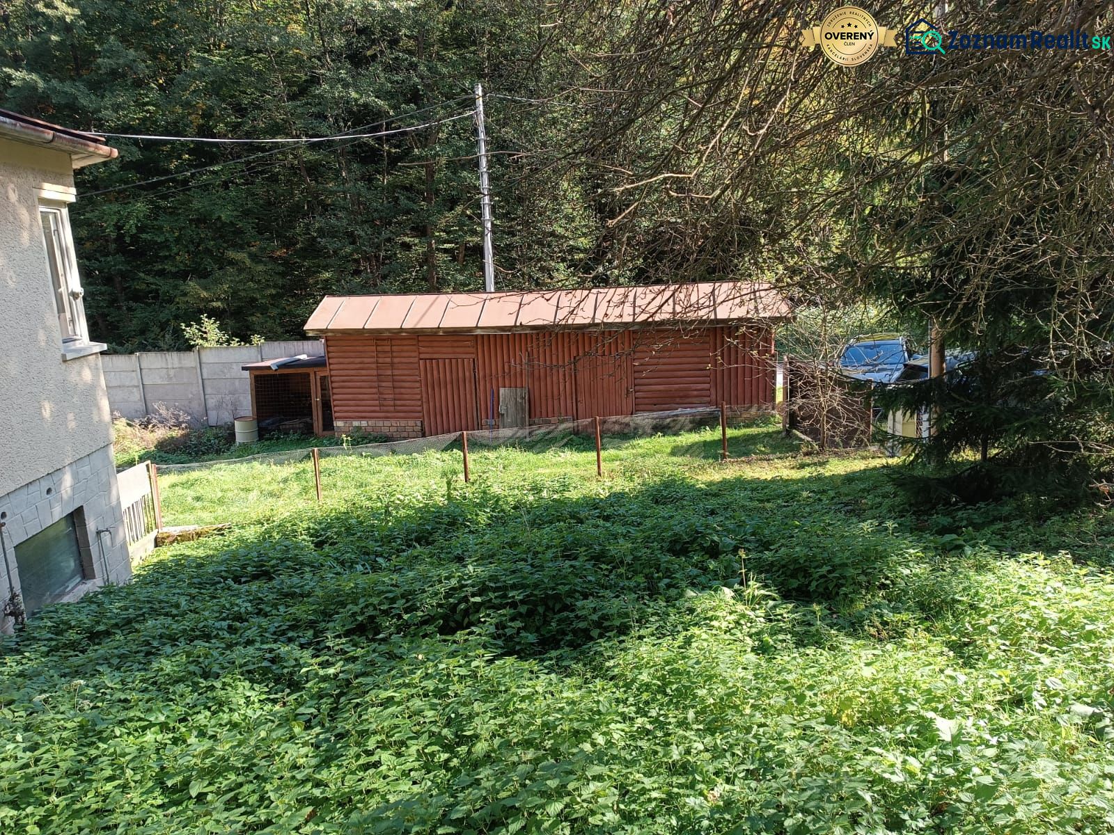 Fotografia 18