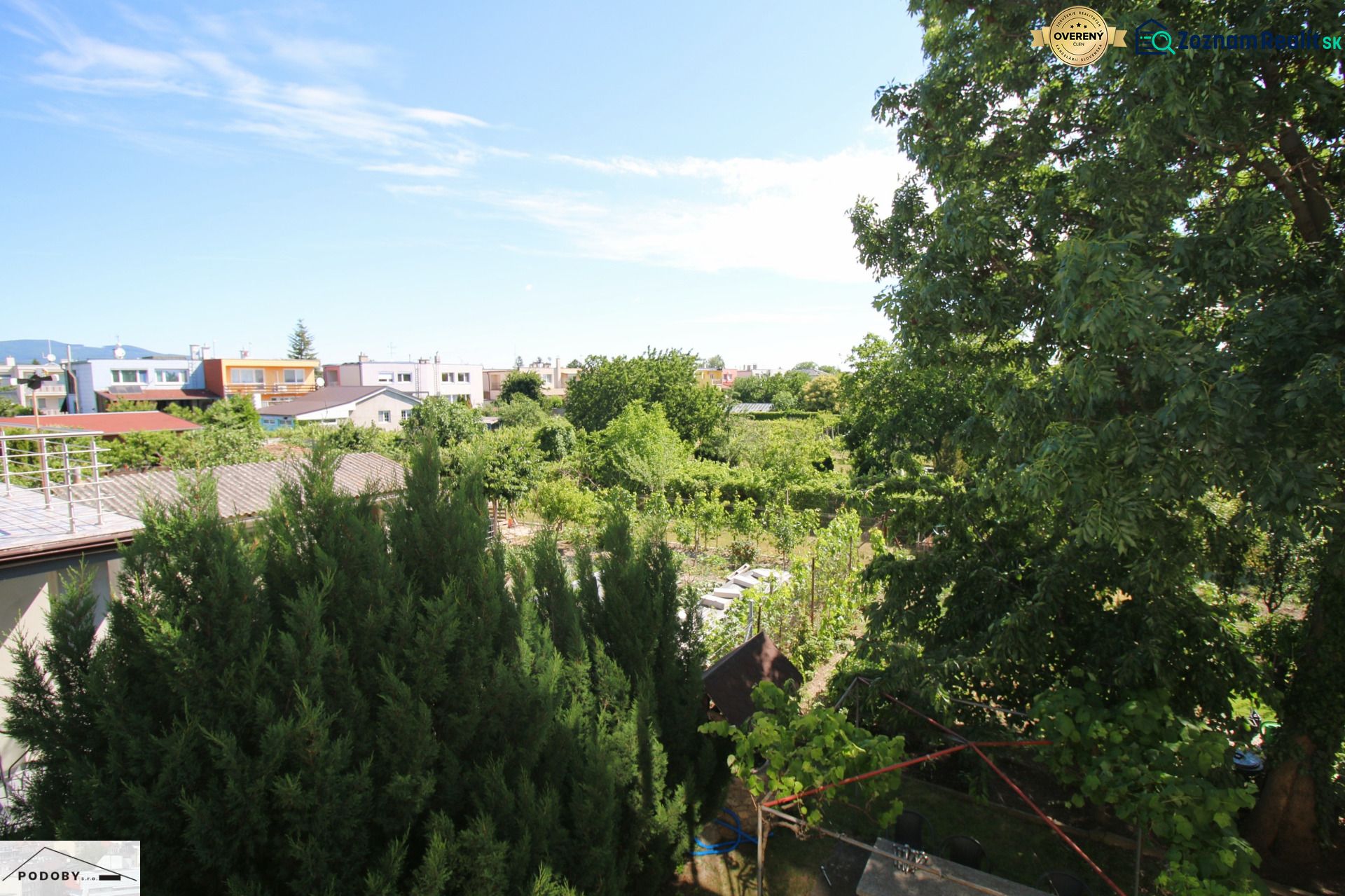 Fotografia 12
