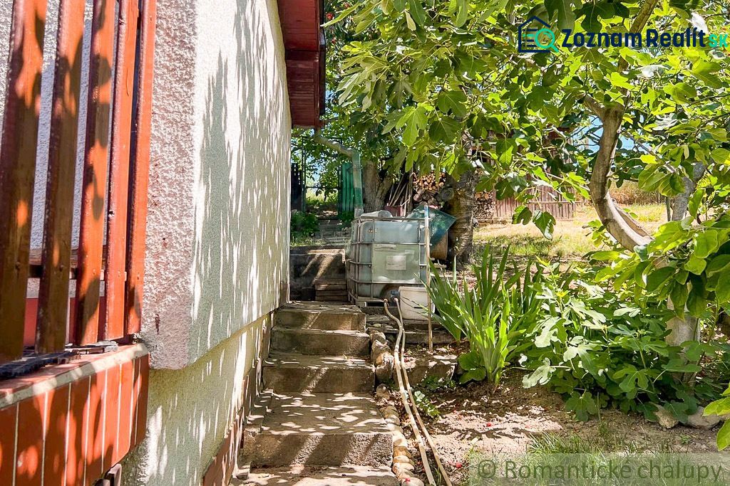 Fotografia 12