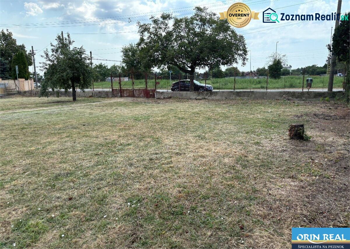 Fotografia 6